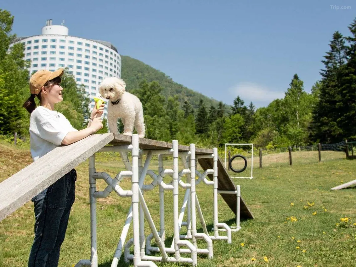 北海道溫泉酒店-北海道二世古希爾頓度假飯店-5