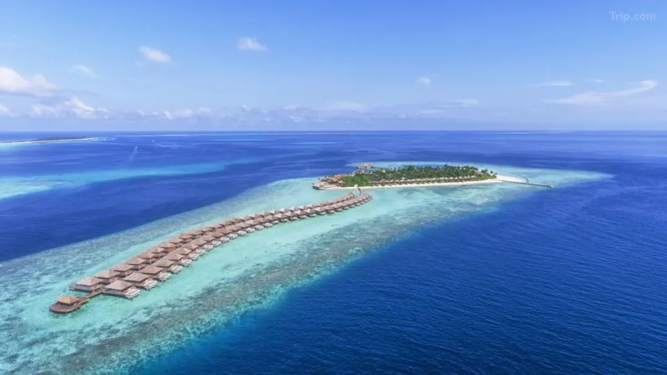 馬爾代夫酒店推介-芙拉瓦麗島度假酒店-3